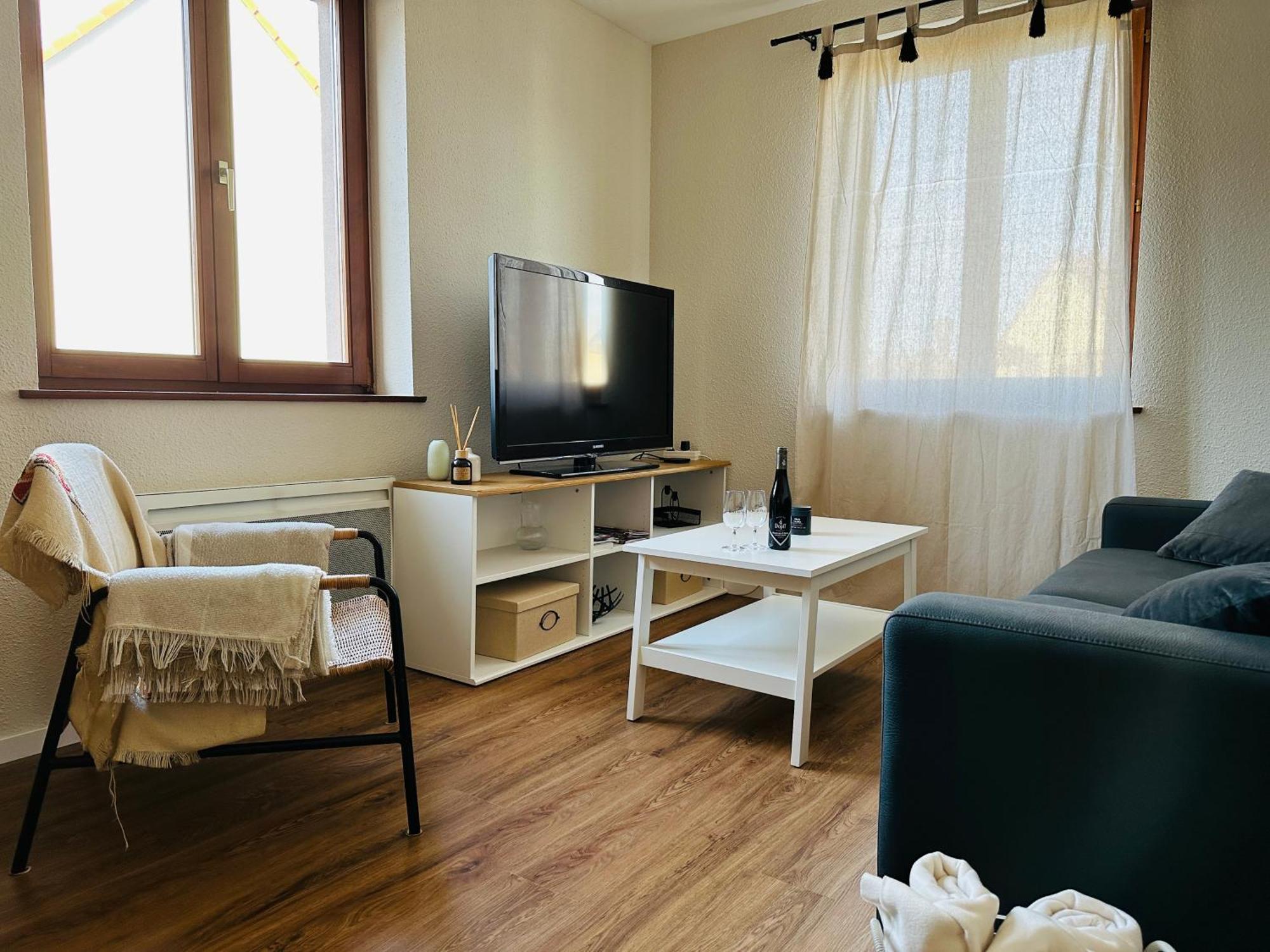 Charmant Appartement 2 Pieces Ostheim Luaran gambar
